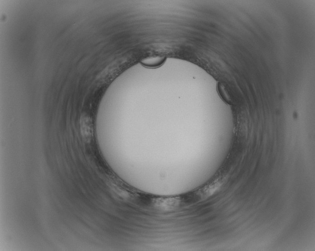 X0000071770135200607211541