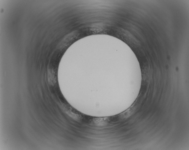 X0000071770136200607211541