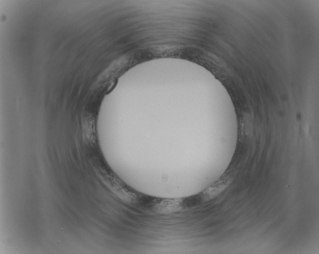 X0000071770138200607211541