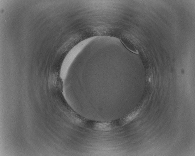 X0000071770139200607211541