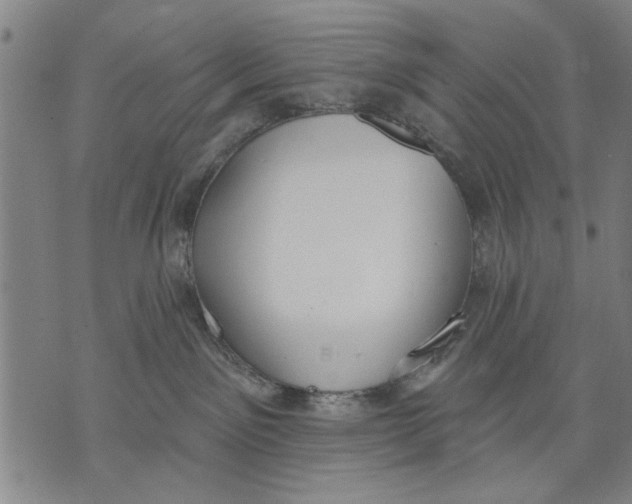 X0000071770141200607211541