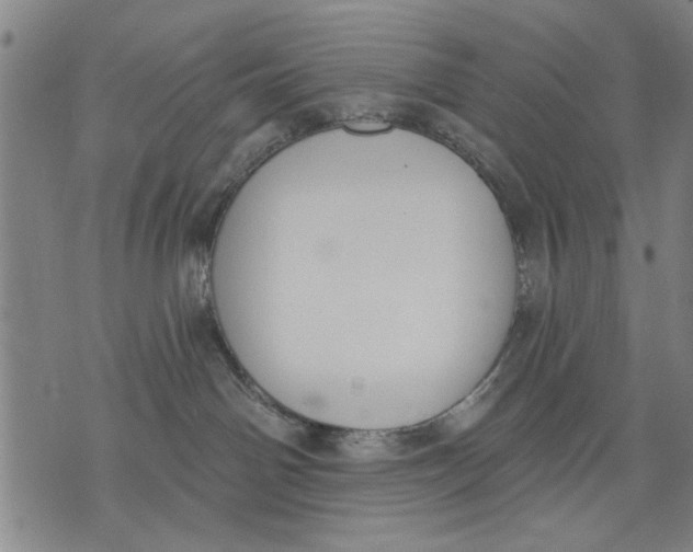 X0000071770142200607211541