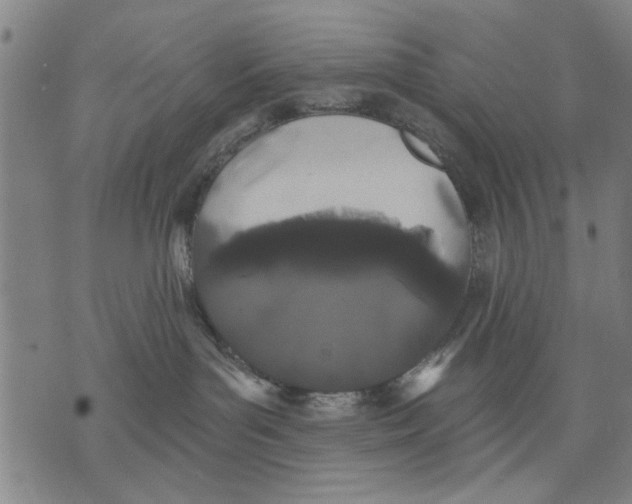 X0000071770143200607211541