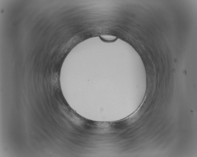 X0000071770144200607211541