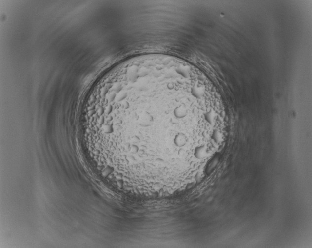 X0000071770145200607211540