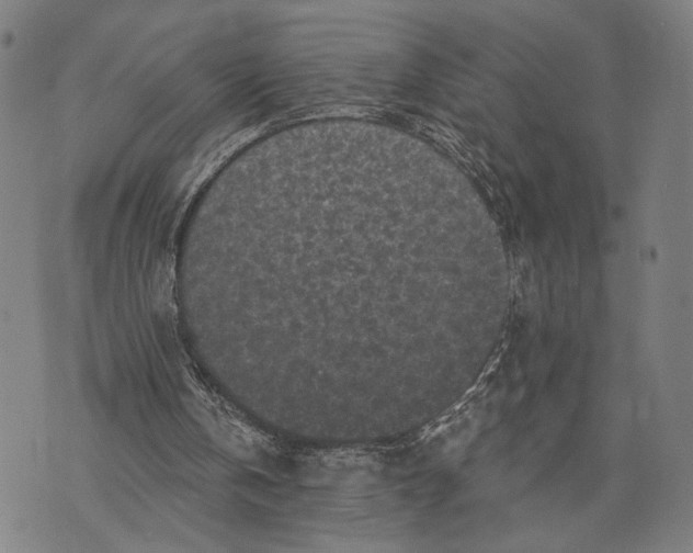 X0000071770146200607211540