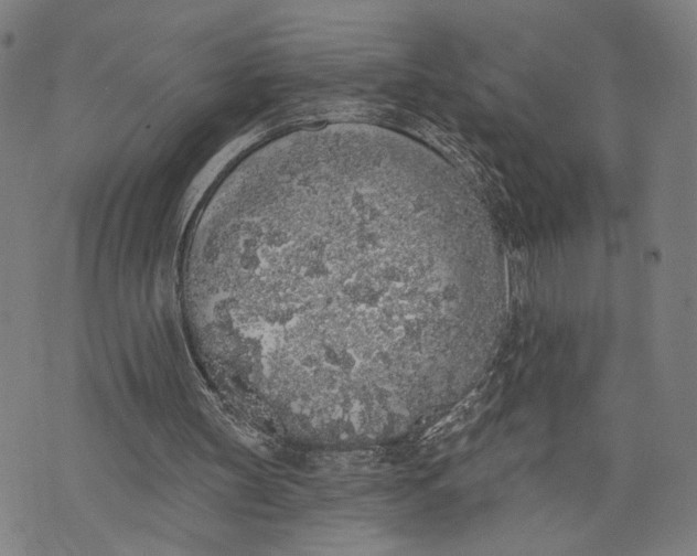 X0000071770147200607211540