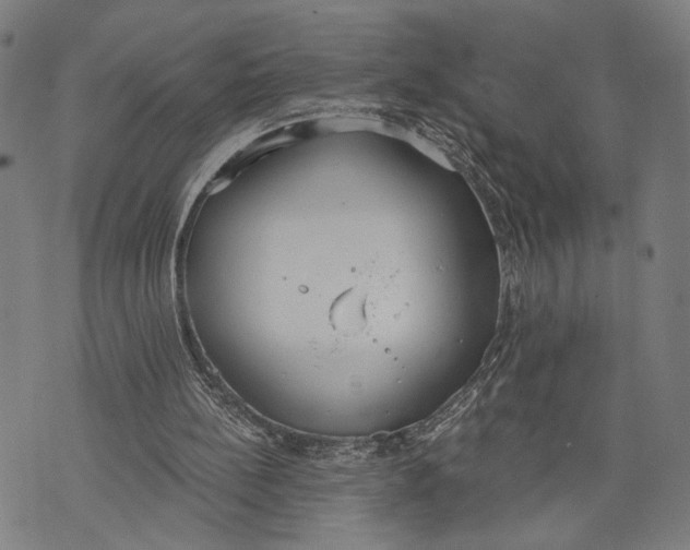 X0000071770148200607211540