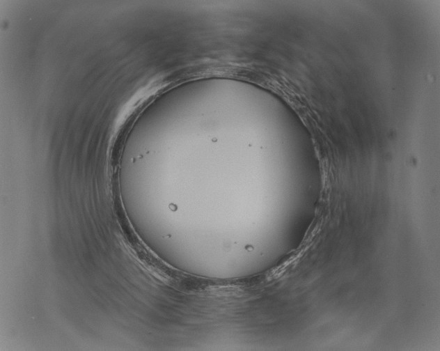 X0000071770150200607211540