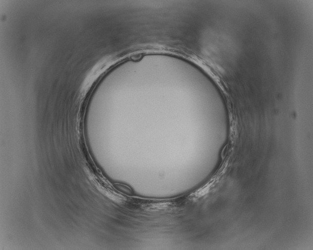 X0000071770151200607211540