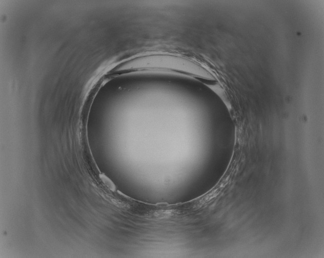 X0000071770152200607211540