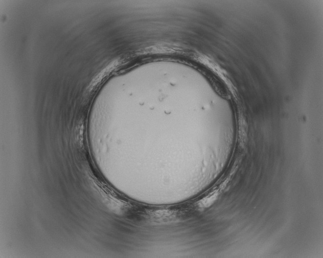 X0000071770153200607211540