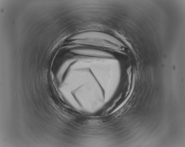 X0000071770154200607211540