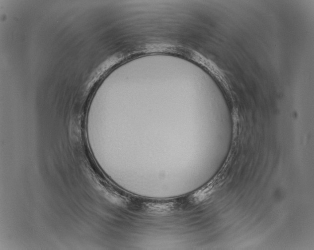 X0000071770155200607211540