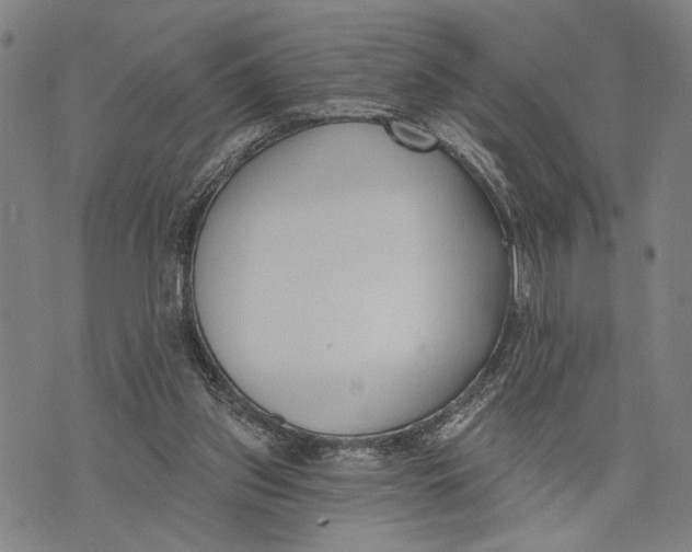 X0000071770157200607211540