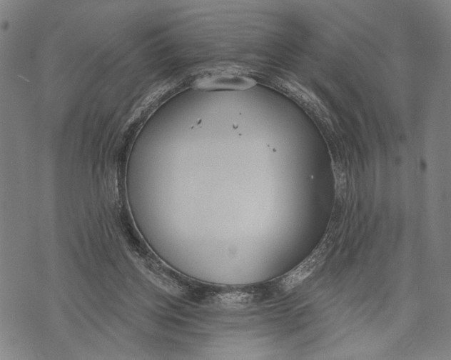 X0000071770158200607211540