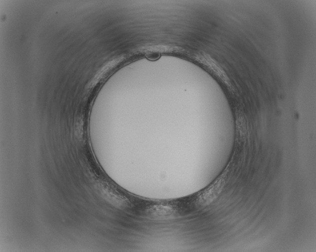 X0000071770159200607211540