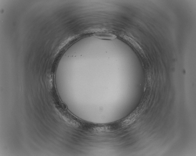 X0000071770160200607211540