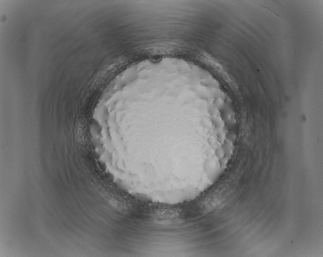 X0000071770161200607211540