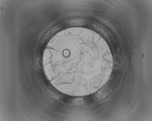 X0000071770162200607211540