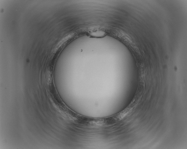 X0000071770164200607211541