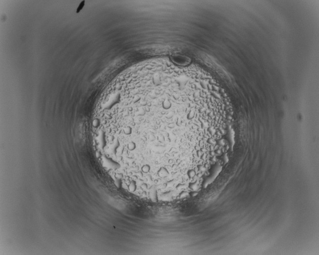 X0000071770165200607211541