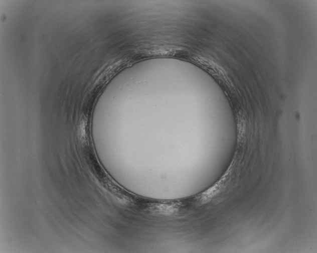 X0000071770166200607211541