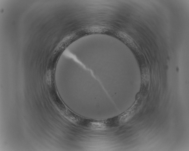 X0000071770167200607211541