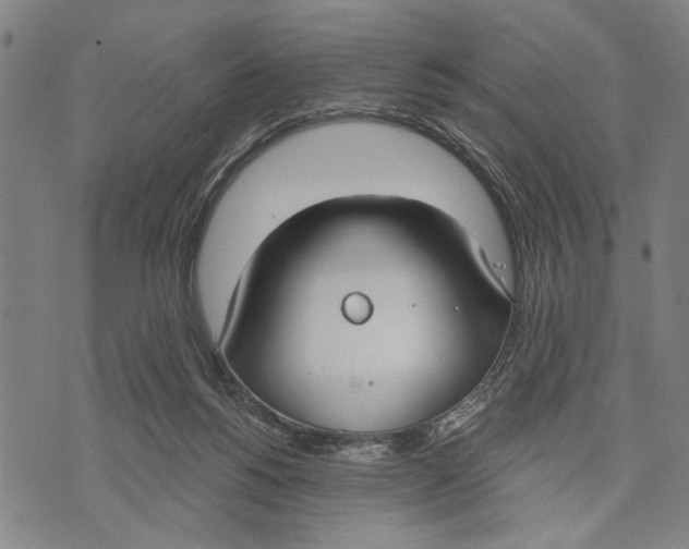 X0000071770168200607211541