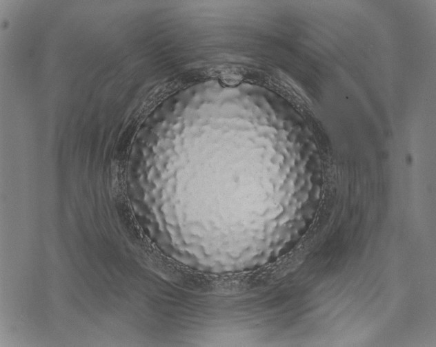 X0000071770169200607211541