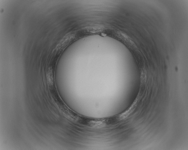 X0000071770170200607211541