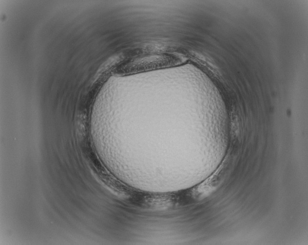 X0000071770171200607211541