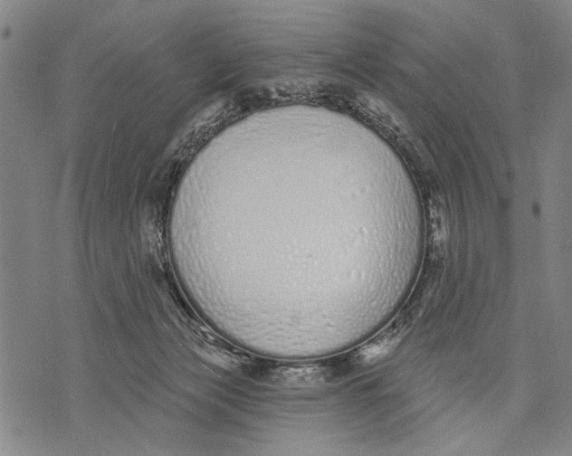 X0000071770173200607211541