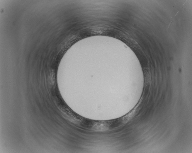 X0000071770174200607211541