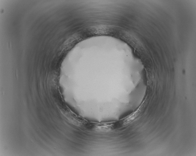 X0000071770175200607211541