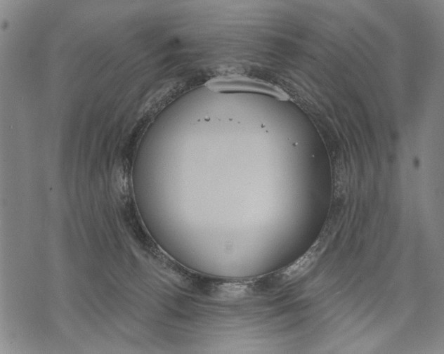 X0000071770176200607211541