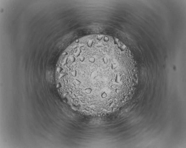 X0000071770177200607211541