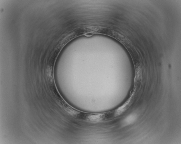 X0000071770178200607211541