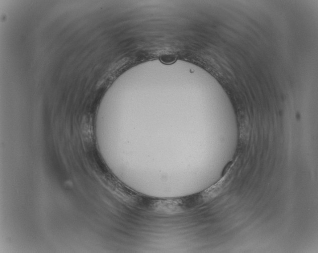 X0000071770179200607211541