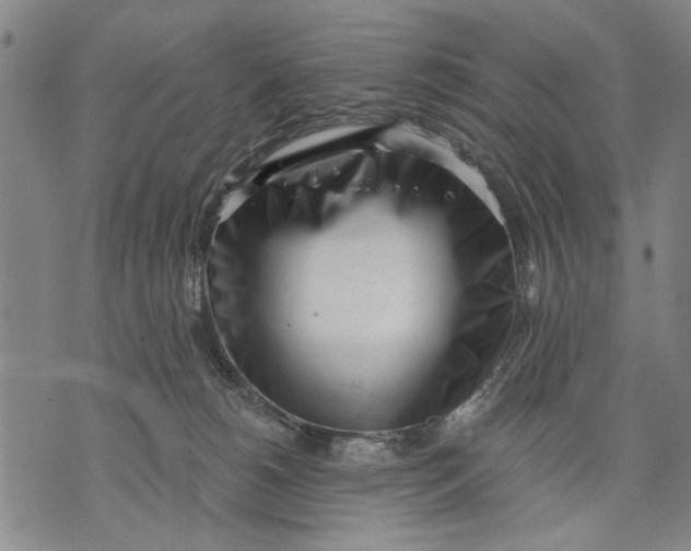 X0000071770180200607211541