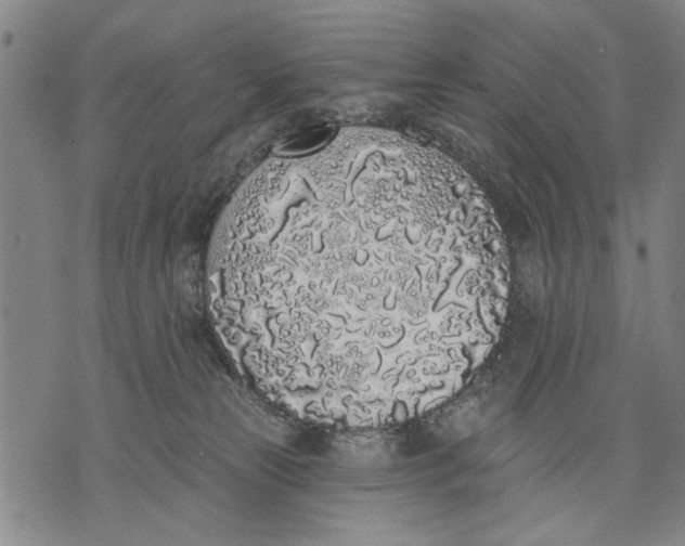 X0000071770181200607211541