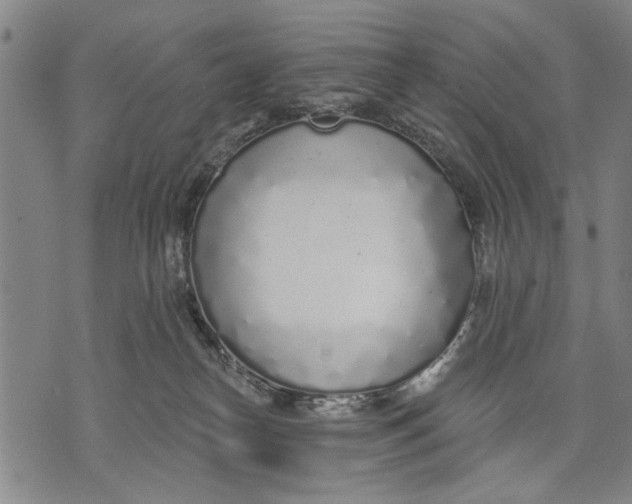 X0000071770182200607211541