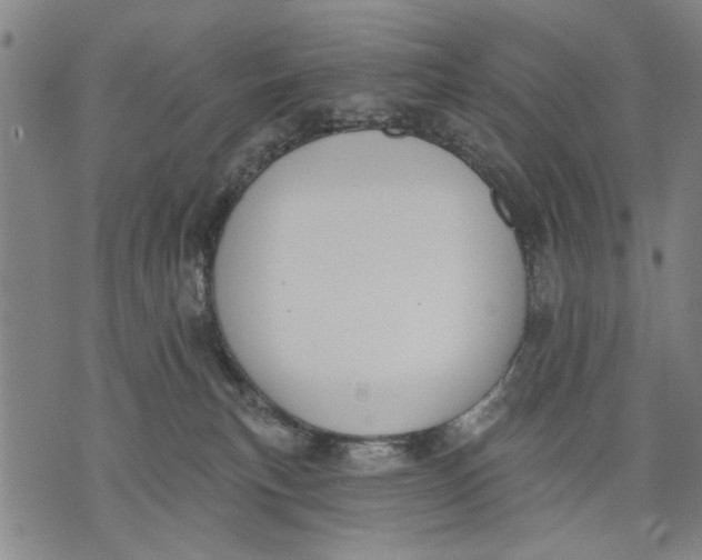 X0000071770183200607211541