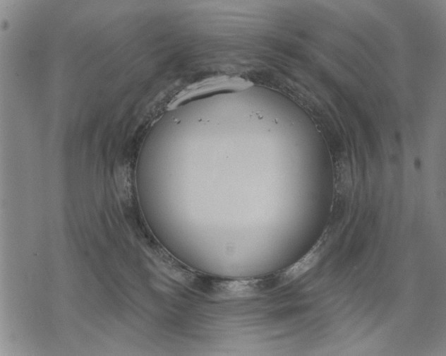 X0000071770184200607211541