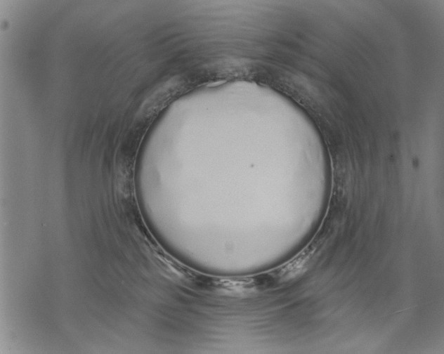 X0000071770185200607211541