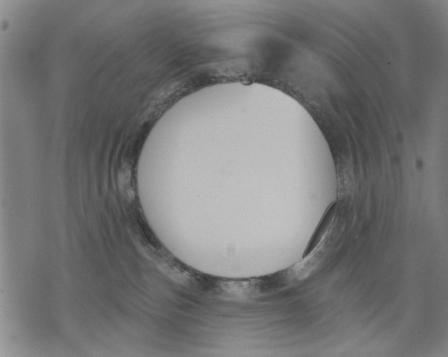 X0000071770187200607211541