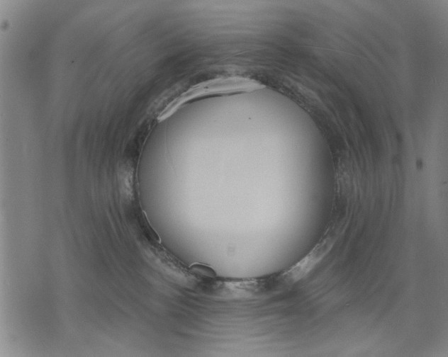 X0000071770188200607211541