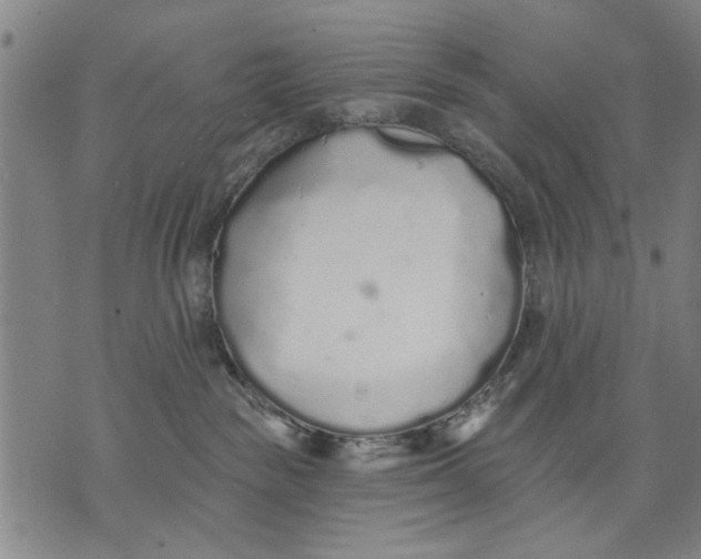 X0000071770189200607211541