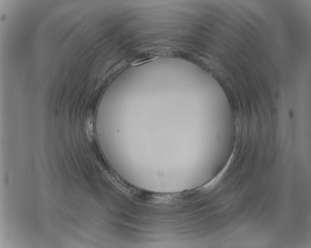 X0000071770190200607211541