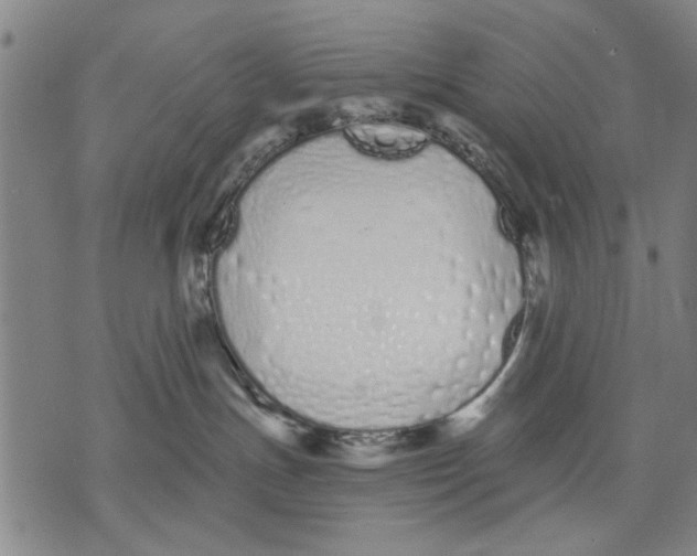 X0000071770191200607211541